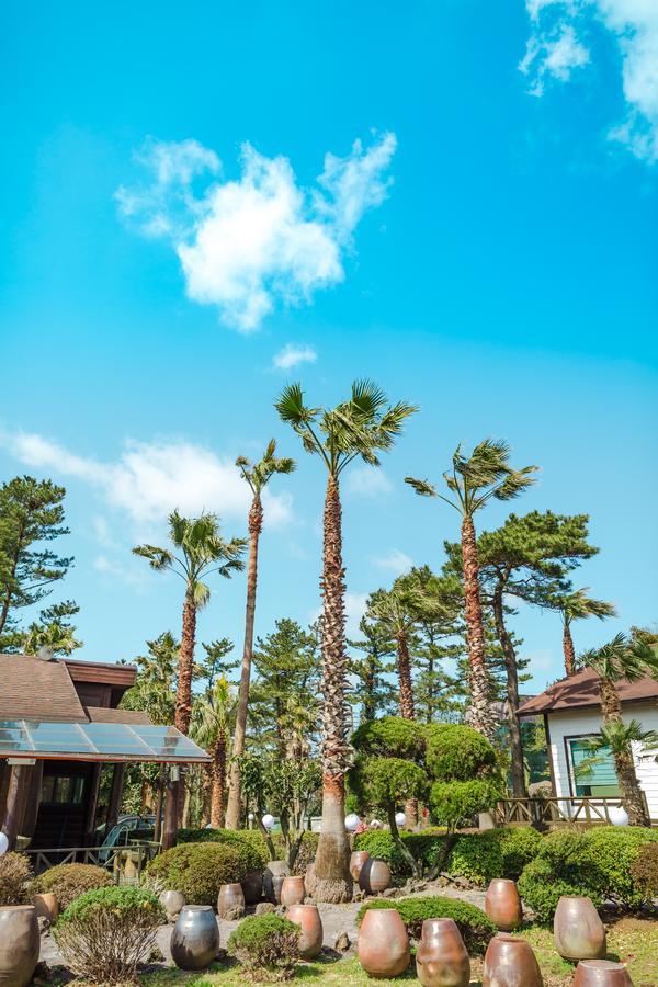 Bijarim Resort Jeju Exteriör bild